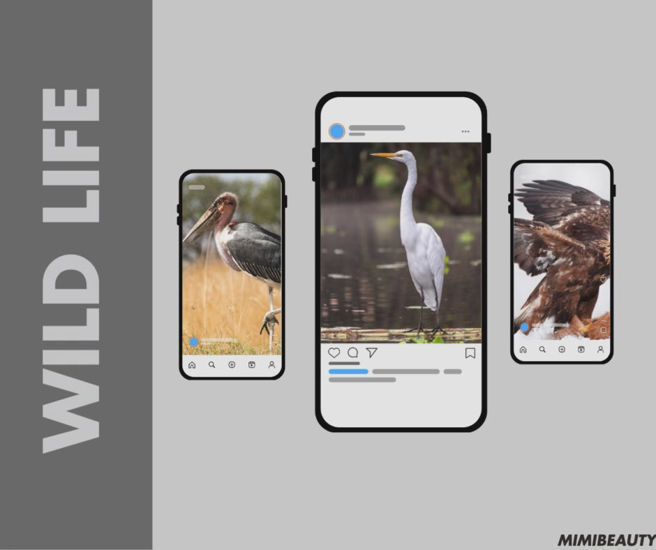 FLASH SALES TEMPLATE